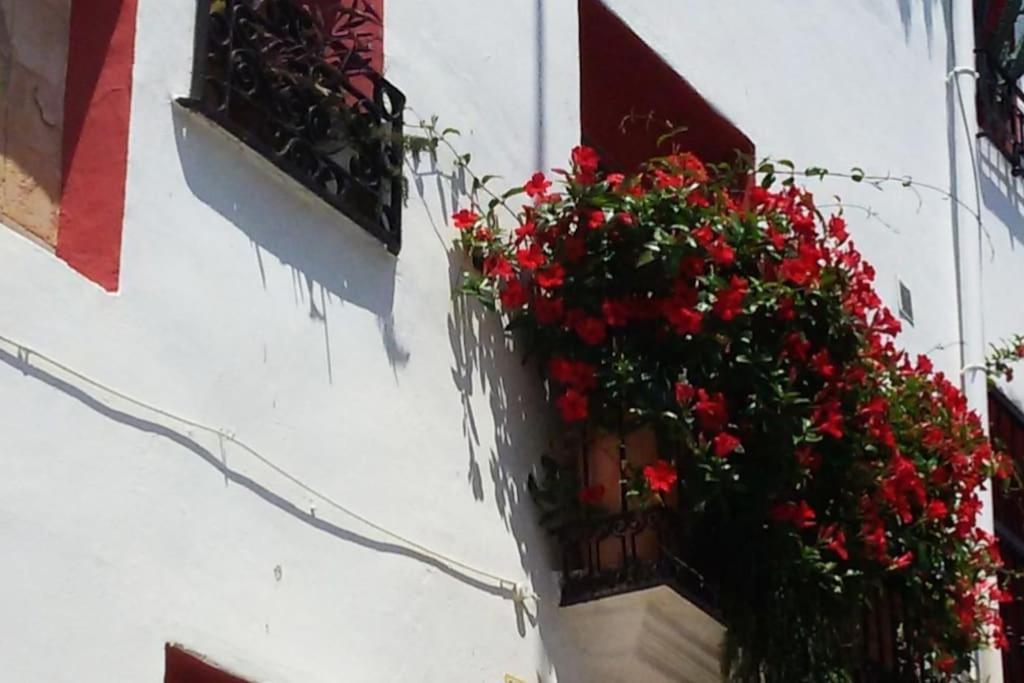 Casa Regina Casco Antiguo By Delucaco Altea