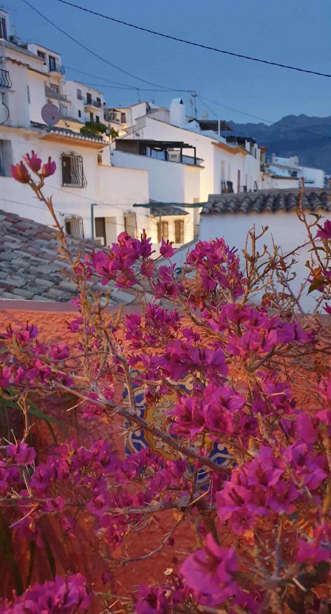 Casa Regina Casco Antiguo By Delucaco Holiday home *